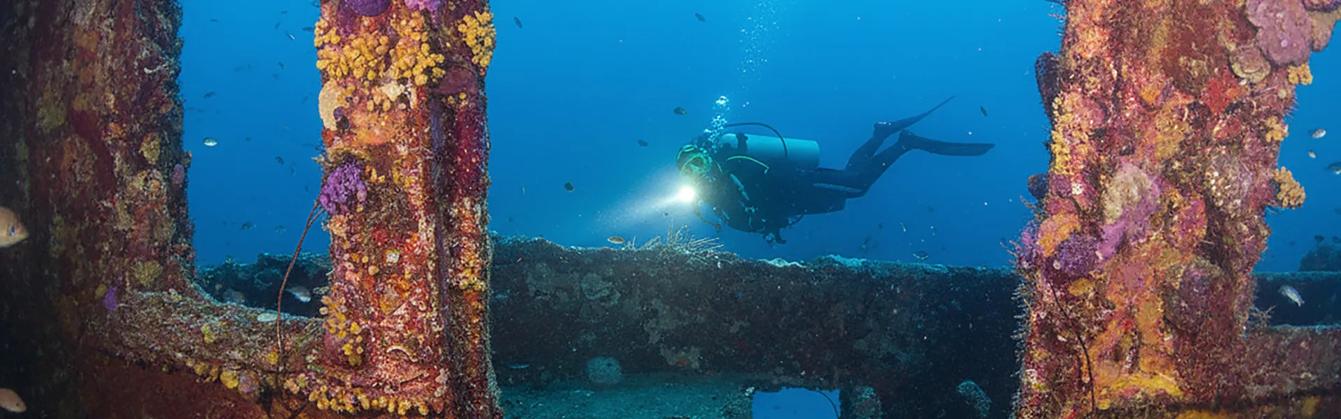 Red Sea liveaboard Egypt – SS Thistlegorm wreck diving and coral walls at Brothers Islands