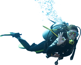 Scuba Diving Experience