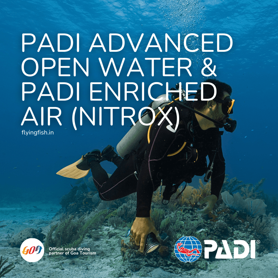 PADI Advanced Open Water and Enriched Air Nitrox combo package scuba diving in Goa — FlyingFish