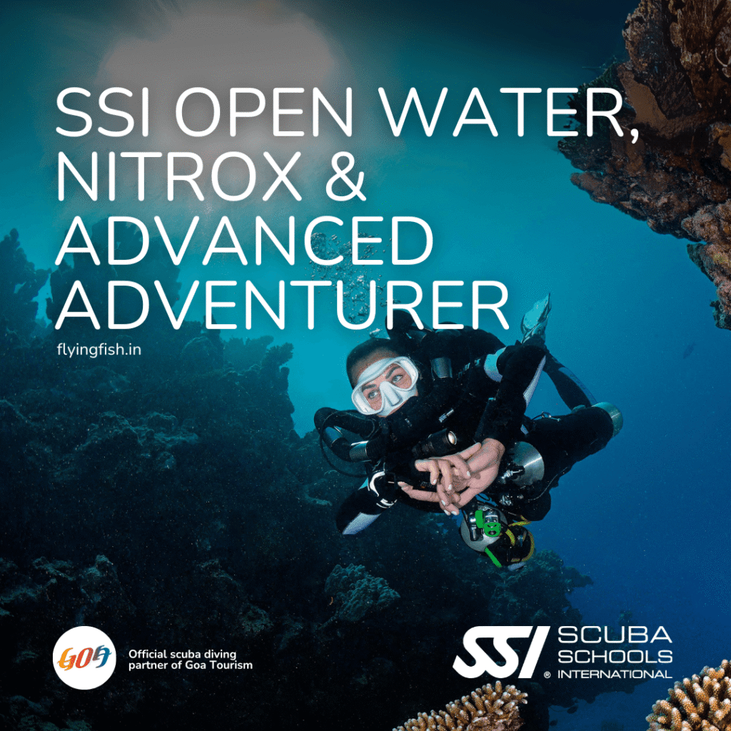 SSI Open Water Nitrox and Advanced diver triple course combo package in Goa — FlyingFish Scuba School