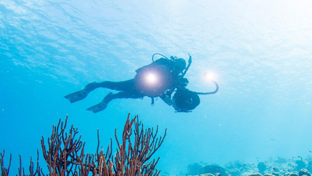 Photographer’s Paradise: Capturing Goa’s Underwater Beauty Through Scuba Diving