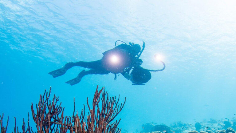 Photographer’s Paradise: Capturing Goa’s Underwater Beauty Through Scuba Diving