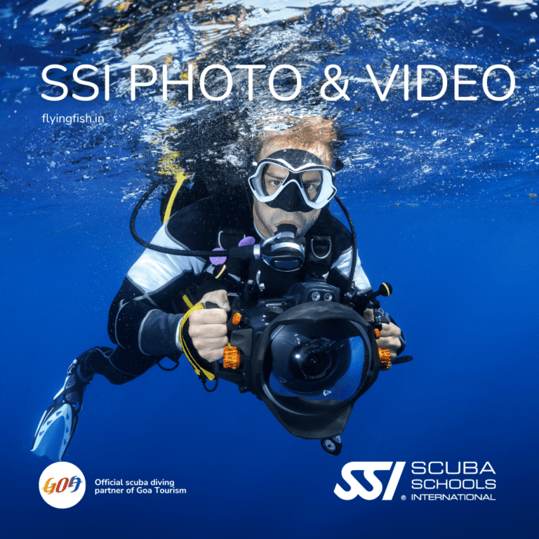 SSI Underwater Photo & Video Course Goa