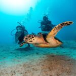 PADI Open Water Diver Course in Goa