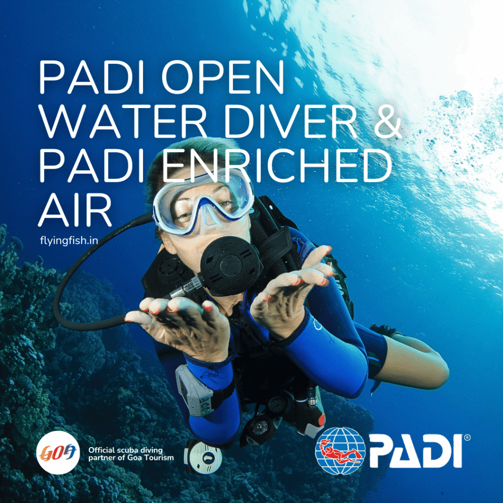 PADI Open Water Diver and Enriched Air Nitrox combo scuba course in Goa — FlyingFish Scuba School