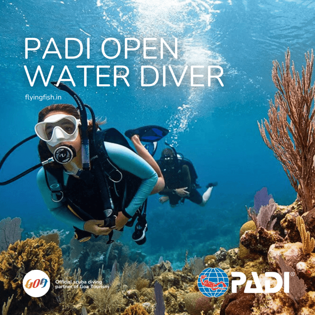 PADI Open Water Diver Course in Goa