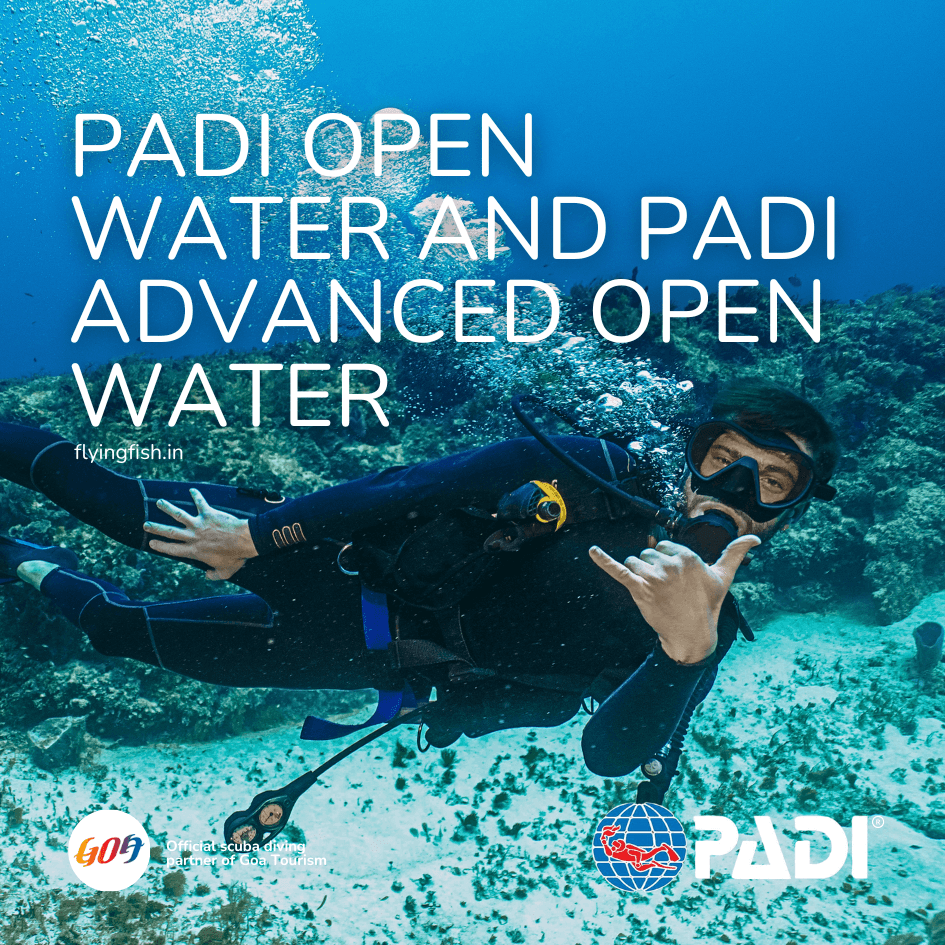 PADI Open Water to Advanced Open Water dive course package in Goa — FlyingFish Scuba School