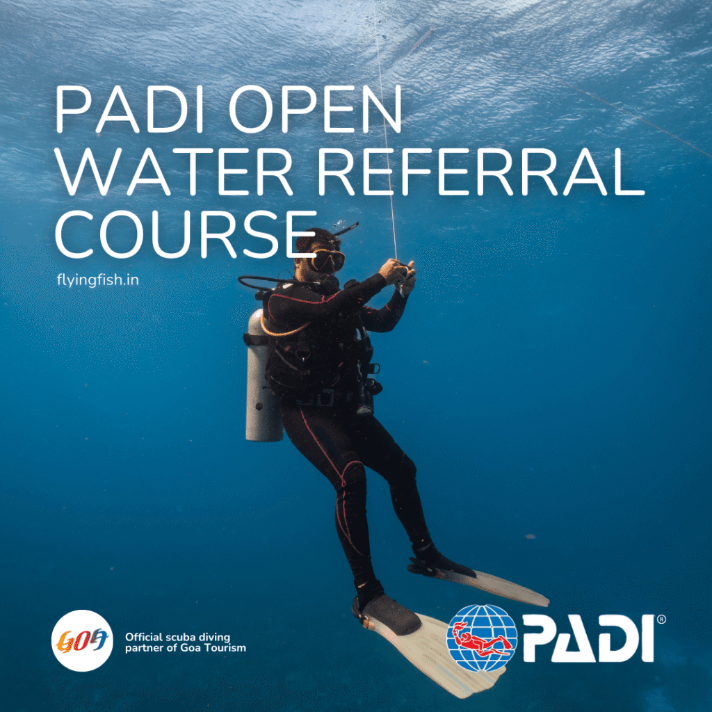 PADI Peak Performance Buoyancy Course Goa