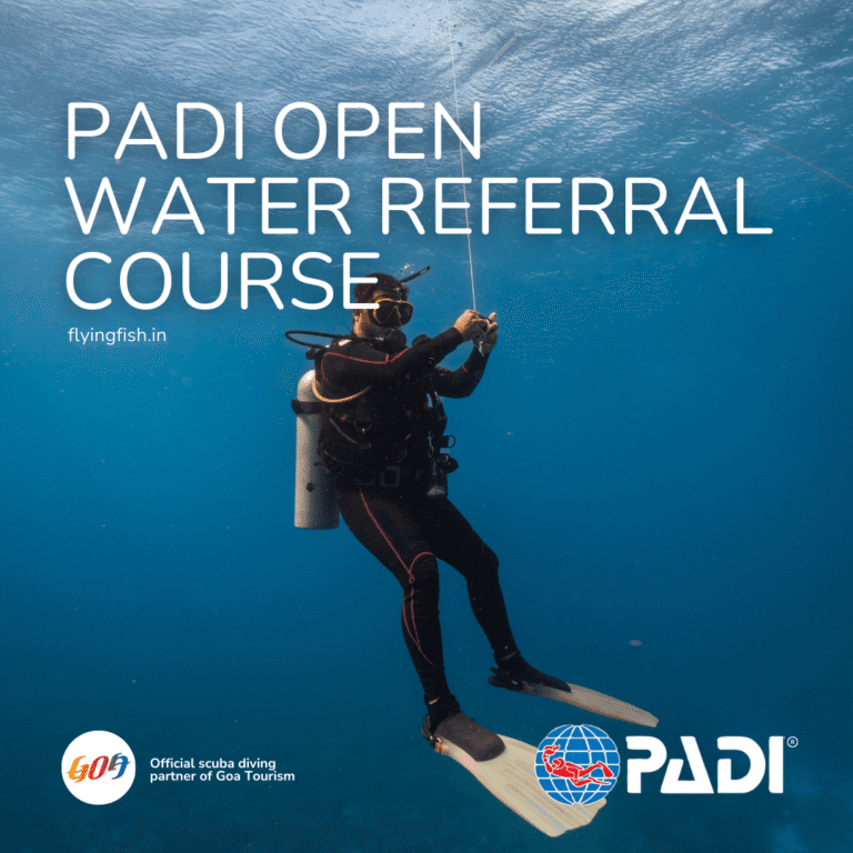 PADI Peak Performance Buoyancy Course Goa