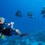 Advanced Diver + Nitrox Course Bundle Goa