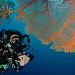 SSI Double Dive 40+40 Min – Wreck & Reef Goa
