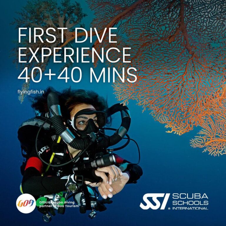 SSI Double Dive 40+40 Min – Wreck & Reef Goa