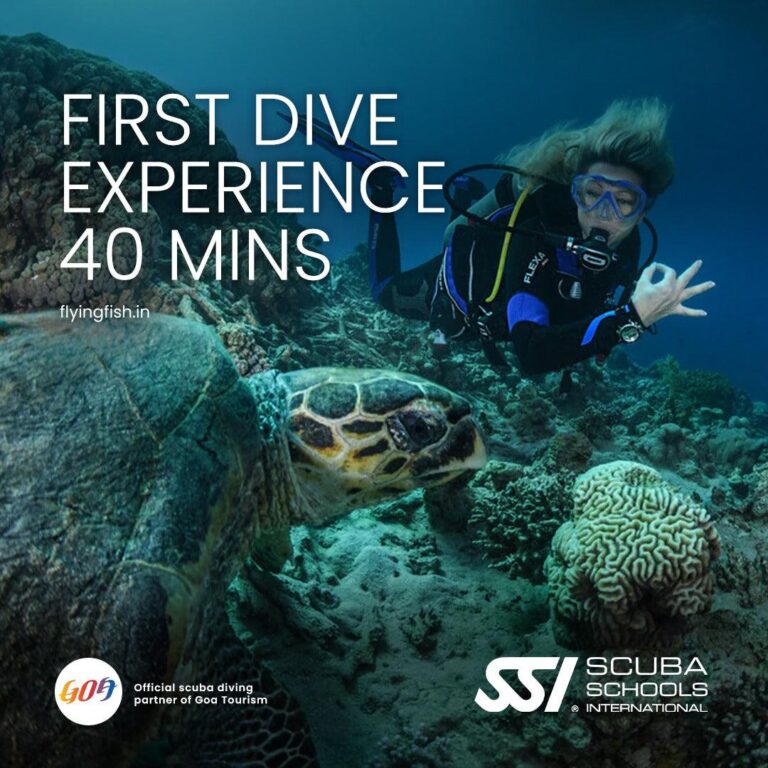 SSI Basic Diver 40 Min – Scuba Experience Goa
