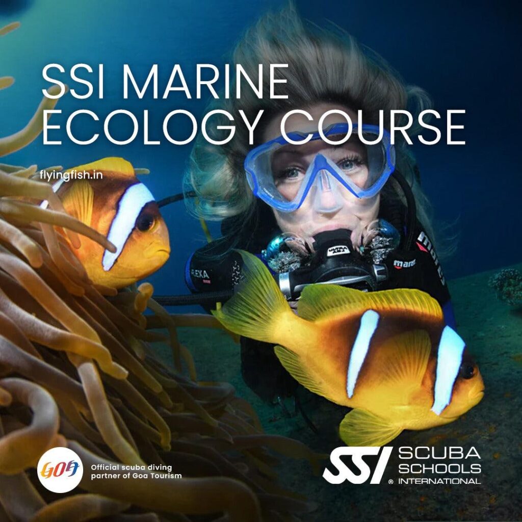 SSI Marine Ecology Course Goa