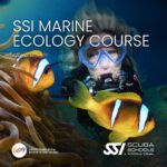 SSI Marine Ecology Course Goa