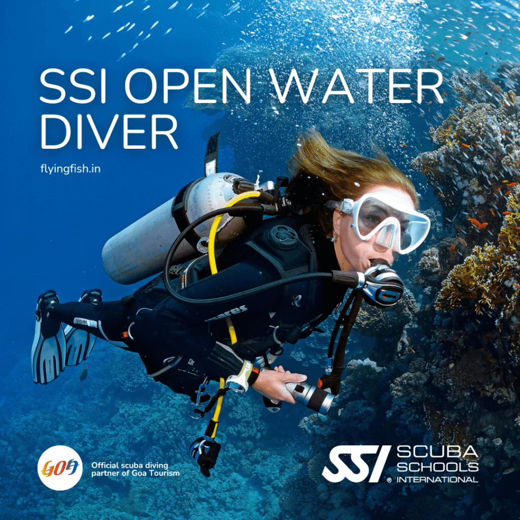 SSI Open Water Diver Course in Goa