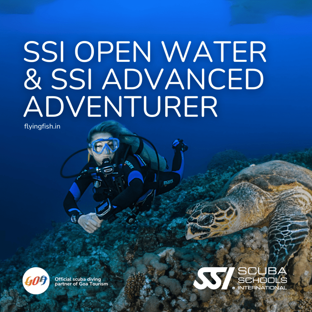 SSI Open Water to Advanced Adventurer dive course package in Goa — 12 dives FlyingFish Scuba School