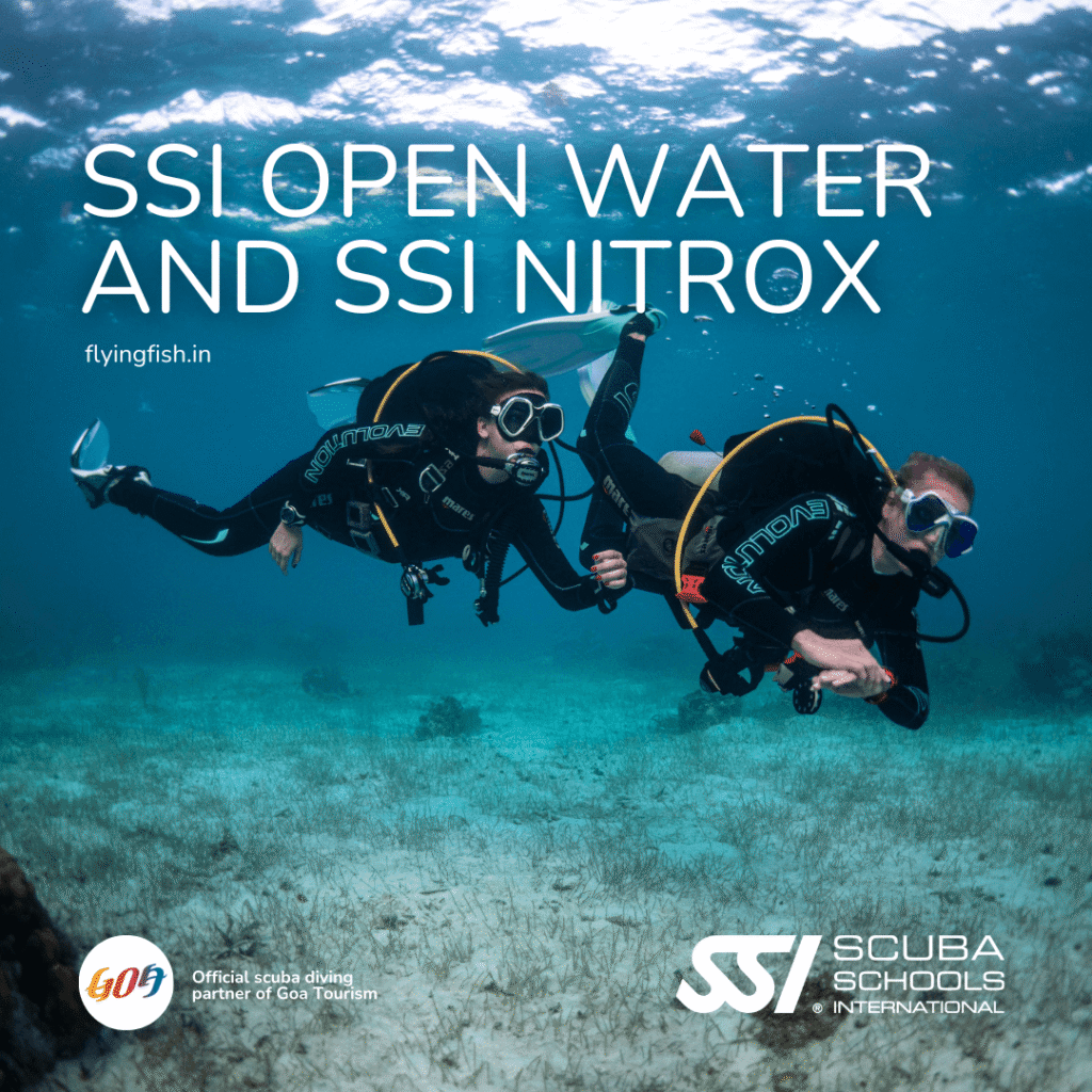 Open Water and Nitrox scuba certification combo package in Goa — FlyingFish Scuba School Grand Island