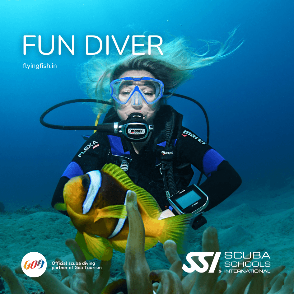 Fun scuba dives at Grandé Island, Goa - FlyingFish Scuba School