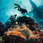 Scuba diving at Grandé Island Goa - underwater photos by FlyingFish