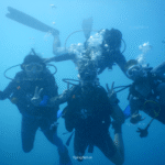 Scuba diving at Grandé Island Goa - underwater photos by FlyingFish