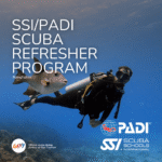 Scuba Skills Update Course Goa