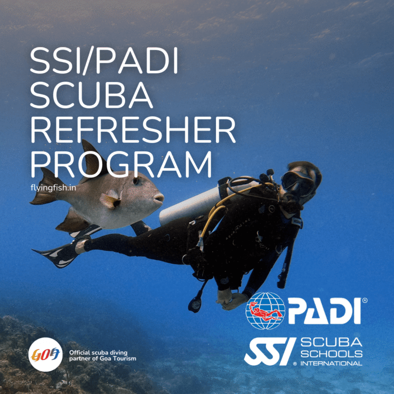 Scuba Skills Update Course Goa