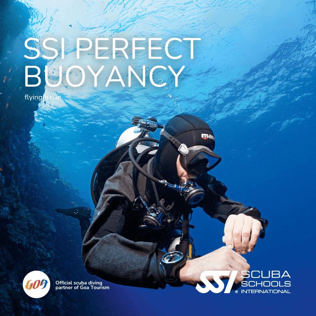 SSI Perfect Buoyancy Course Goa