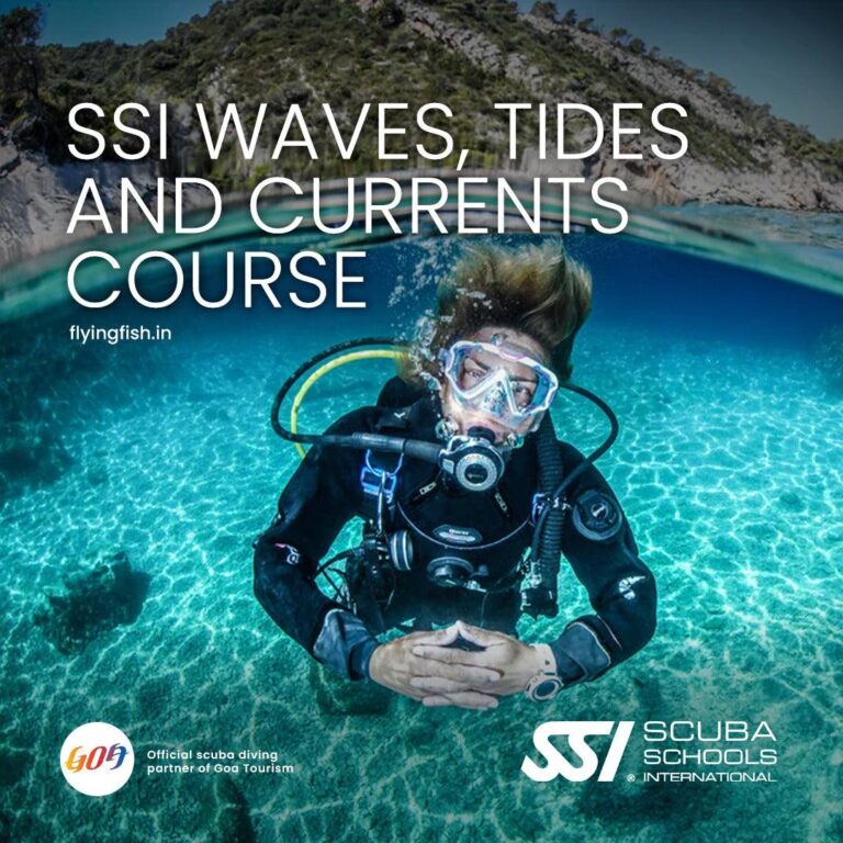 SSI Waves, Tides & Currents Course Goa