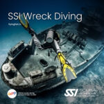 SSI Wreck Diving Course Goa