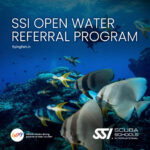 SSI Divemaster Bundle in Goa