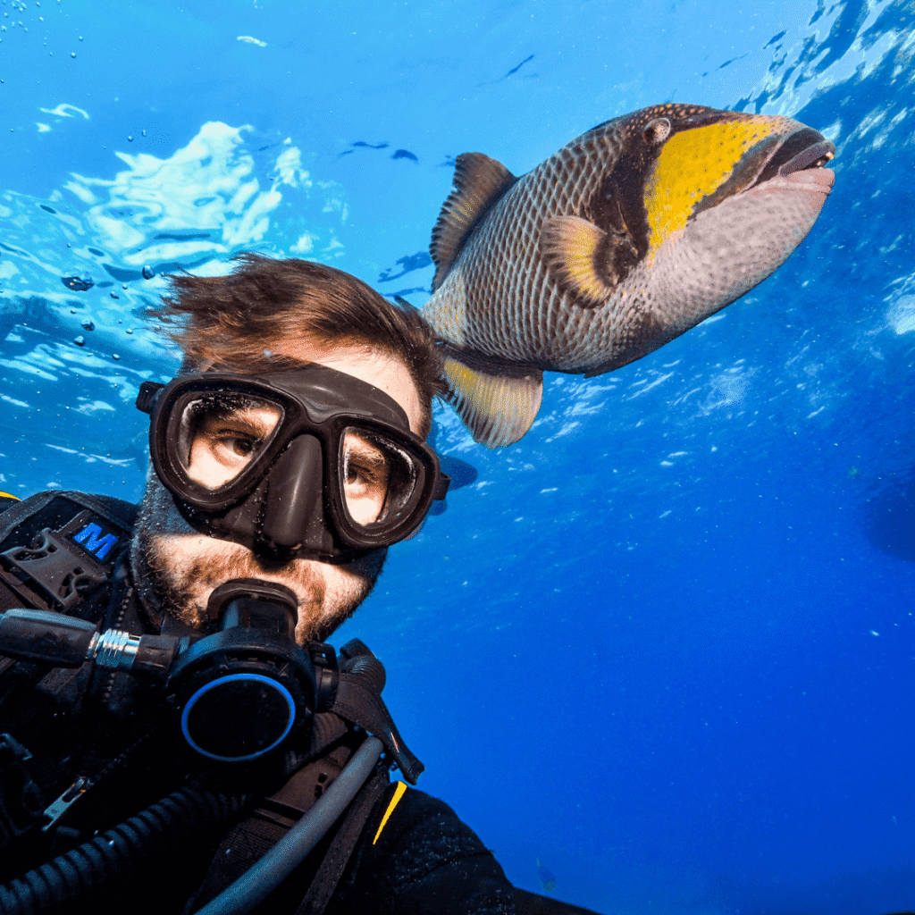 12 Months, 12 Dazzling Dive Destinations 2024