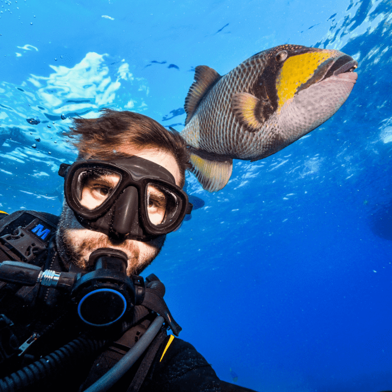 12 Months, 12 Dazzling Dive Destinations 2024