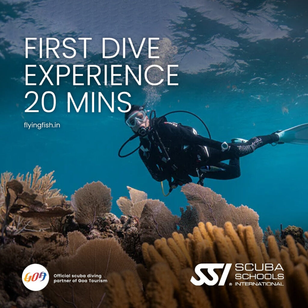 SSI Try Scuba 20 Min – Intro Dive Goa