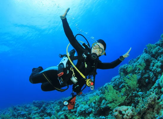 Discover scuba diving in Goa – FlyingFish diver exploring coral reef at Grand Island, Candolim