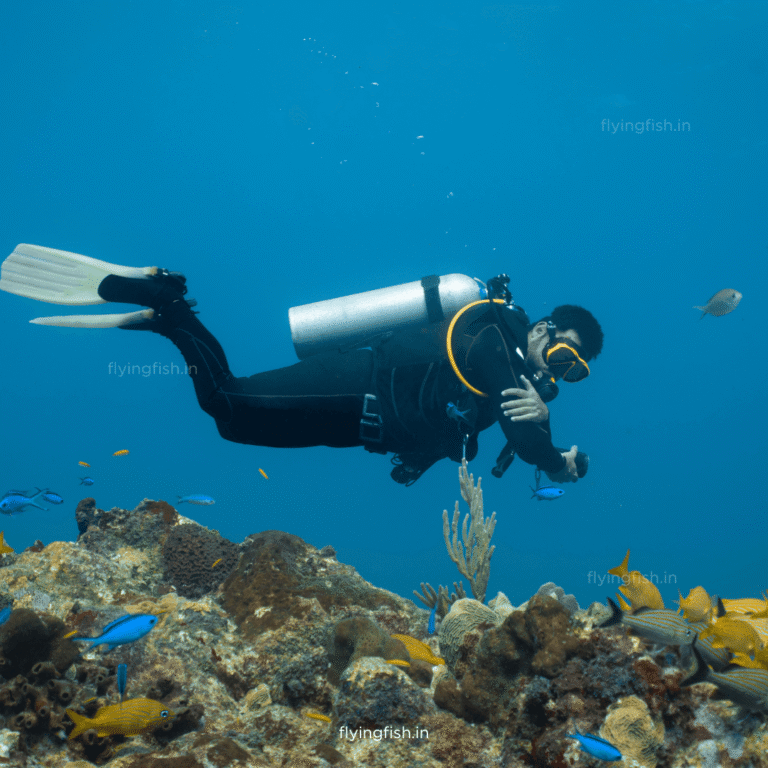 What is Scuba Diving?