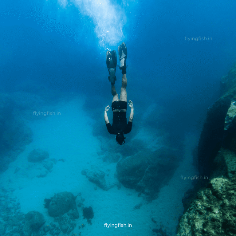 What is FreeDiving? | FlyingFish Scuba School Goa