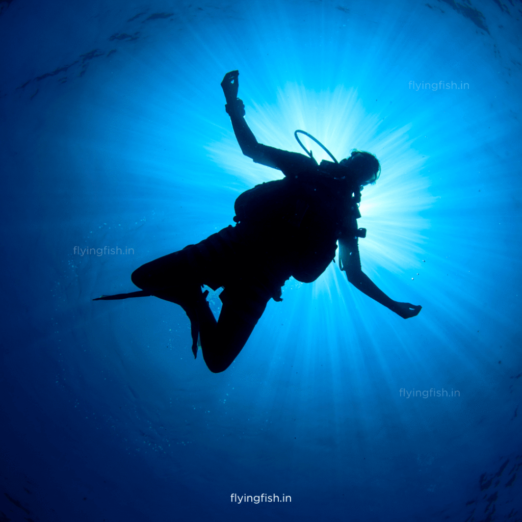 7 Fun and Fascinating Facts about Scuba Diving | Must Read