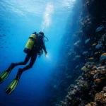 PADI Advanced Diver + Enriched Air Nitrox Bundle Goa