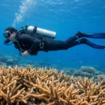PADI Peak Performance Buoyancy Course Goa