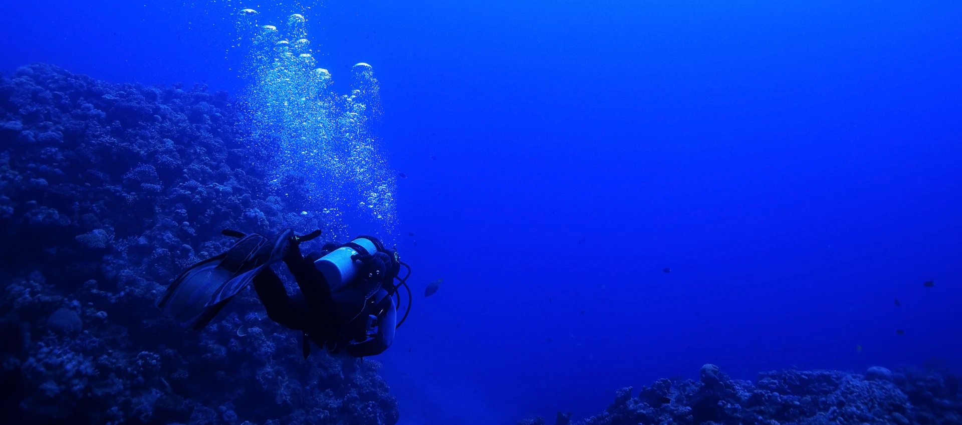 Scuba diver swimming along coral reef at Grand Island Goa – FlyingFish SSI-certified dive centre Candolim