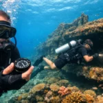 Scuba Speciality Course Bundle Goa – Choose Any 2 SSI Kits