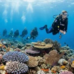 SSI Divemaster Bundle in Goa