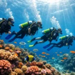 Open Water + Buoyancy + Nitrox Triple Dive Course Bundle Goa